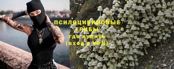 a pvp Верея