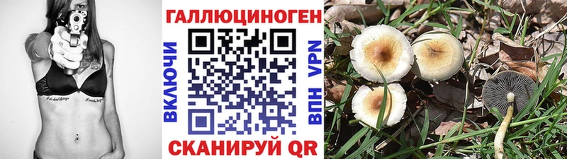 Псилоцибиновые грибы мицелий  Карасук 
